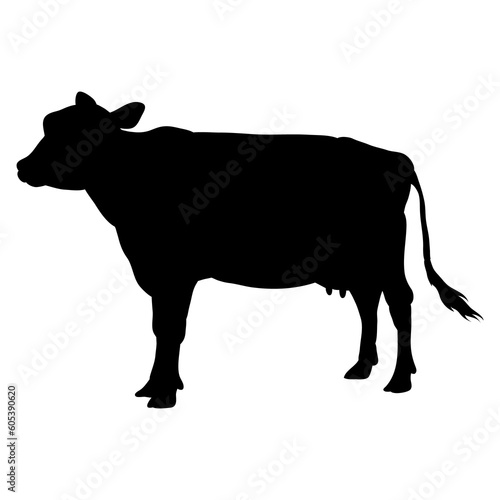 cow qurban sillhouette photo