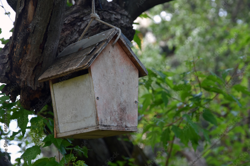 Wooden bird house