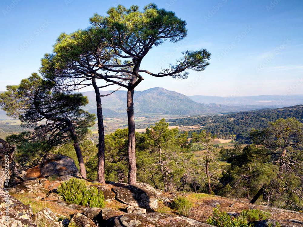 Obraz premium Pico Guisando