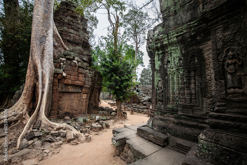 Ta Prohm Temple in Angkor Archaeological Park, Siem Reap, Cambodia