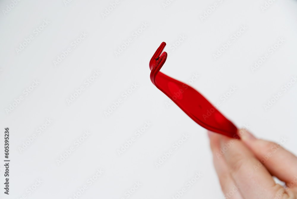 tick hook on a white background along with an extended tick. animal tick removal tool tick hook on a white background along with an extended tick. animal tick removal tool