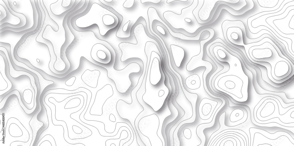 Seamless pattern Topographic line map background. Abstract pattern with lines. Vector sea map and mount map geographic and topographic contours map background. White wave paper curved reliefs.