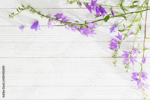 bluebell flowers on white wooden background
