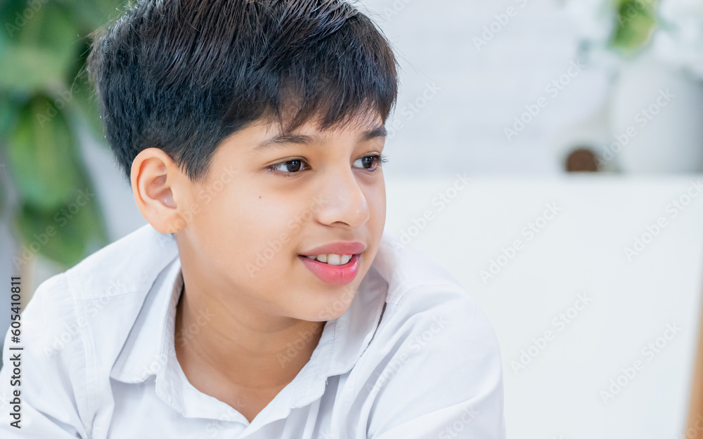 Portrait teenage Indian handsome boy wearing shirt, smiling with smart and happiness with copy space, staying in indoor house or home. Advertisement, Education, Religion, Diversity Concept. Portrait teenage Indian handsome boy wearing shirt, smiling with smart and happiness with copy space, staying in indoor house or home. Advertisement, Education, Religion, Diversity Concept.