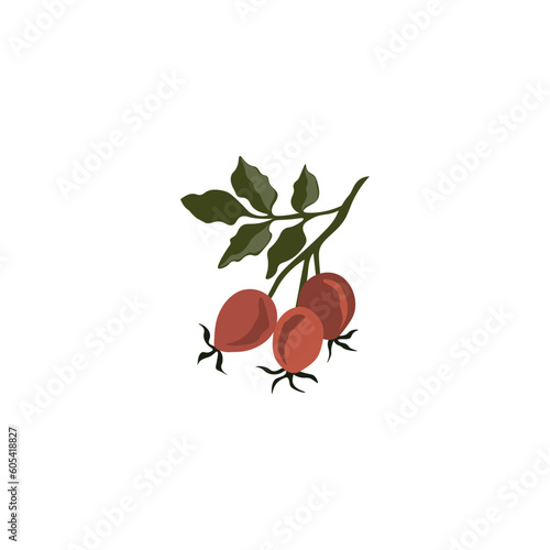 Abstract vector rosehip branch drawing