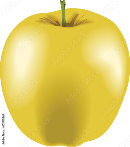 golden apple isolated vector