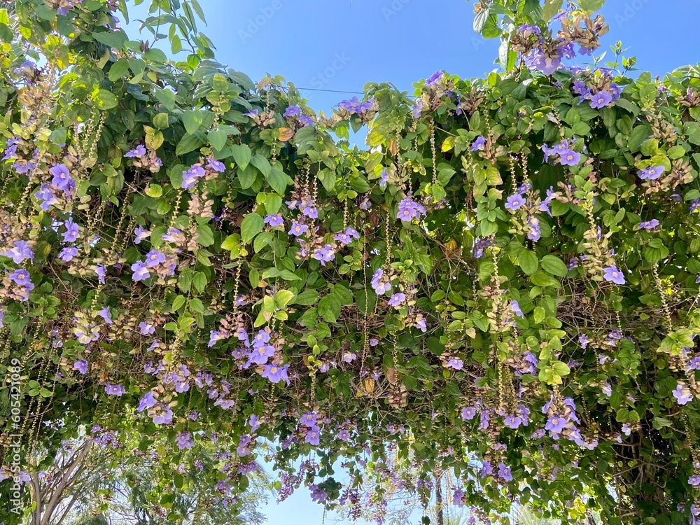 
LA INCREÍBLE VIDA NATURAL EN MÉXICO