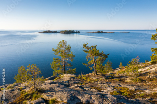granite island with pine in the sea