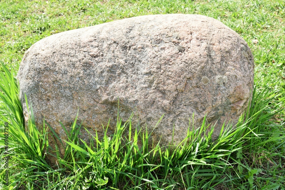 Natural background. Big stone in a birch grove Natural background. Big stone in a birch grove