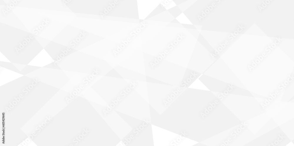Obraz premium Abstract white and grey geometric triangle banner pattern background.