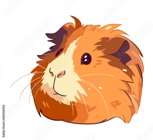 Fluffy small guinea pig on white backgrounds