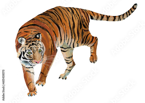 Photography Watercolor hand painted tiger on white background