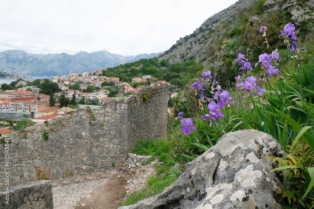 Fortress wall in Kotor, Montenegro. Kotor is a beautiful historic city on the Unesco list.