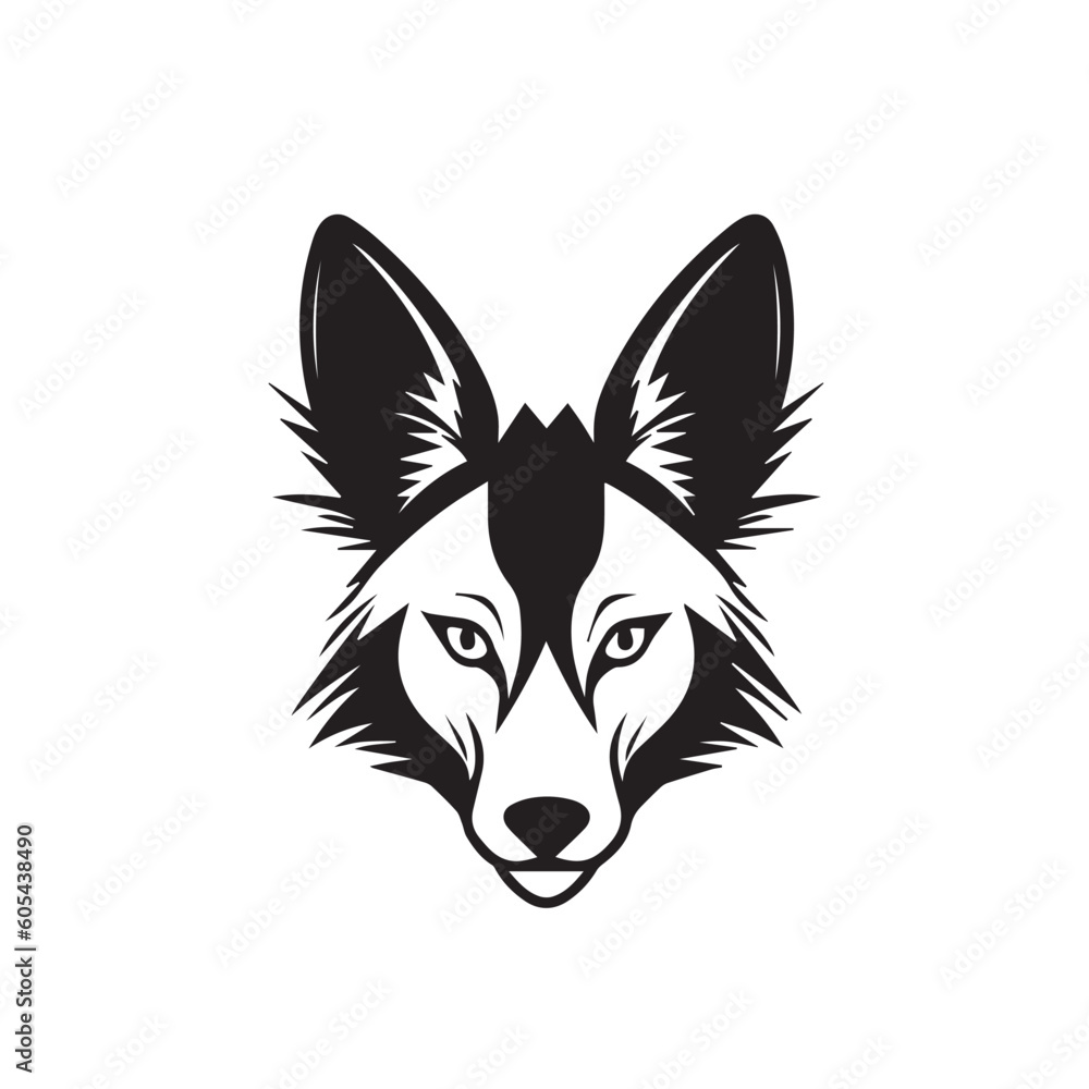 coyote illustration - obrazy, fototapety, plakaty 