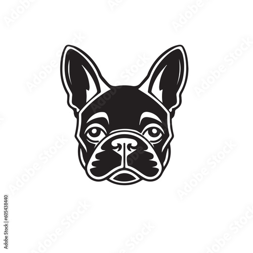 portrait of an french bulldog