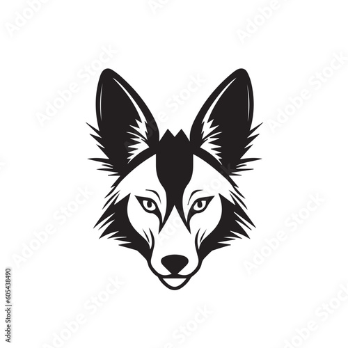 coyote illustration