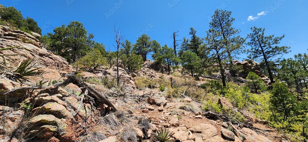 Obraz premium A view of a rocky trail up Shaggy Peak in the Santa Fe National Forest, New Mexico. 