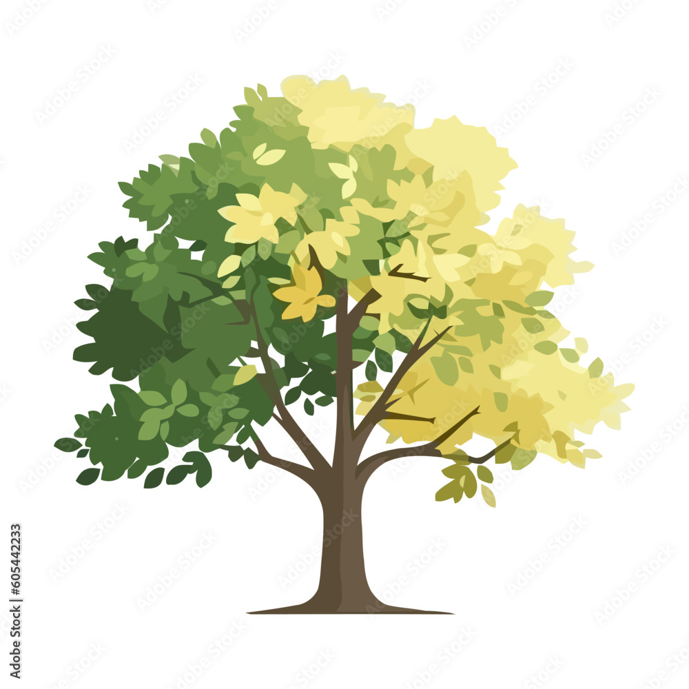 Fototapeta premium Green leaves tree natural