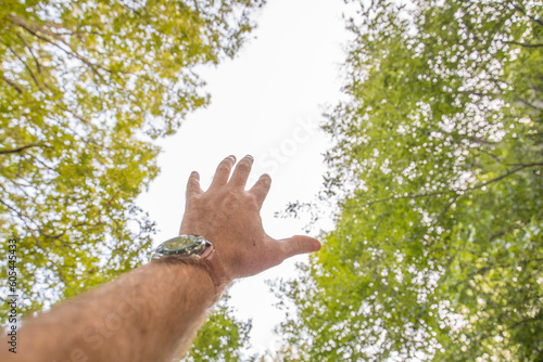 Summer nature trees and arm raised.