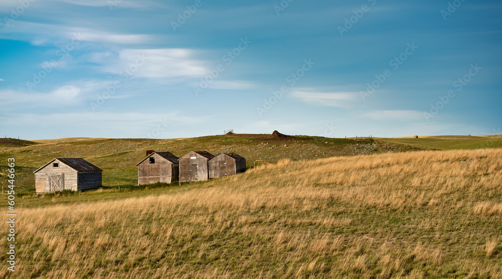 Fototapeta premium panoramic image of Wooden farm buildings amid the fertile farmland of Saskatchewan Canada