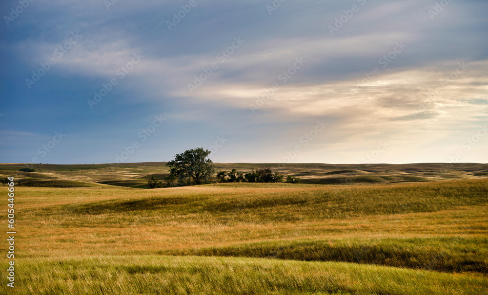 Rolling hills and fertile farmland makes this area the bread basket of Canada in Saskatchewan Canada