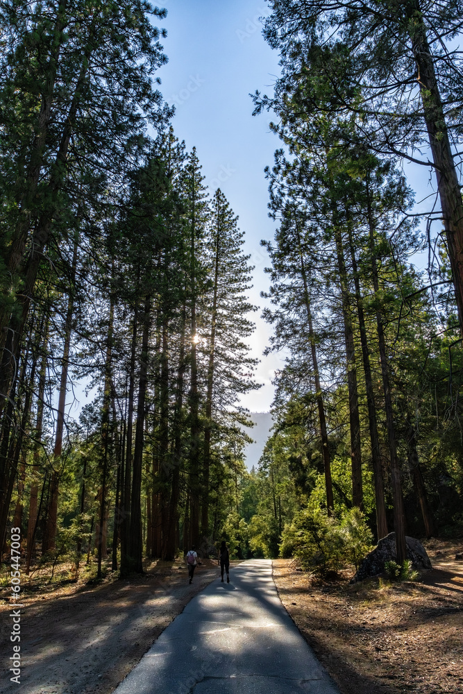 Fototapeta premium Mirror Lake trail in Yosemite National Park, CA, USA