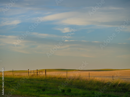 Barbed wire fence and gate with the wide expanse and rolling fields of fertile farmland in Saskatchewan Canada © Jorge Moro