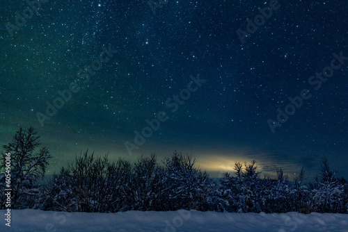 Landscape of the night sky with bright stars and green northern lights on the background of the road, trees, nature, snow in winter
