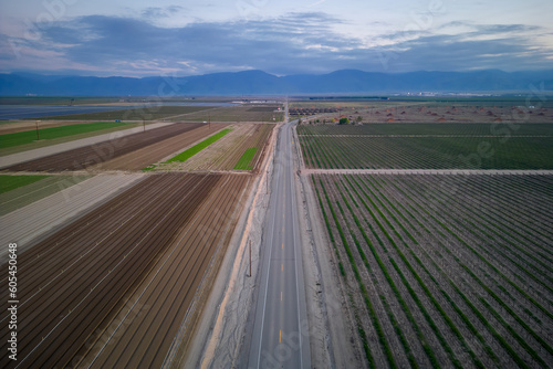 Aerial view of road passing through farm lands, vineyards and Olive plantation in rural California, near Bakersfield.