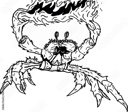 Incendiary Crab Vector Art