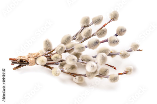 Fotografie Easter blossom pussy willow tree twigs on white