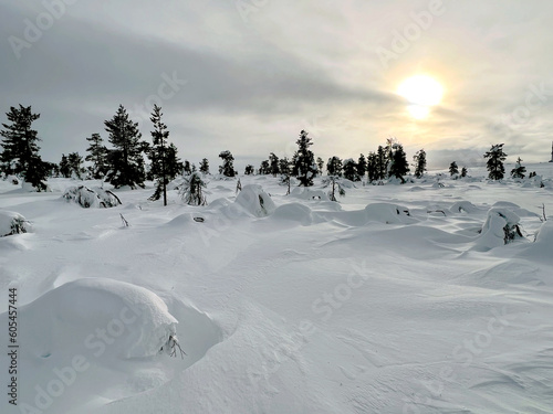 Winter in Lappland, Finnland