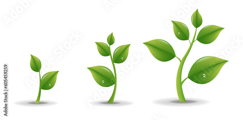 Green Sprout Set With Water Drop White Background