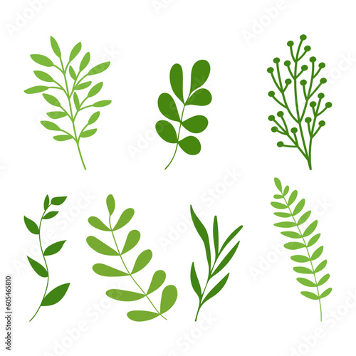 Set of green branches. Green leaf design element set on a white background vector