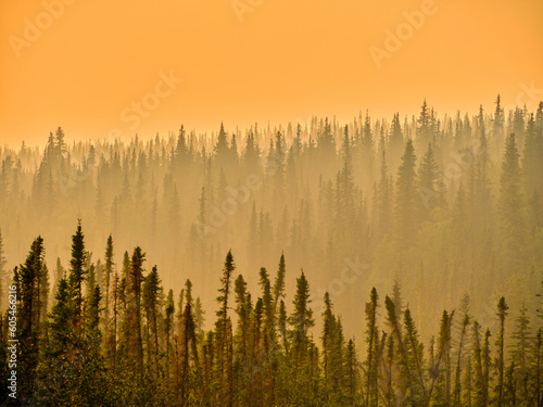 Smoke and smog filled sky near Stevens Village Alaska near the Yukon river due to raging forest fires in the mountains with the pine, Taiga and fir trees in the smoke
