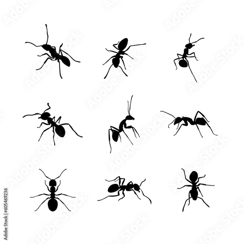 silhouettes of ants in different poses, ant vector photo