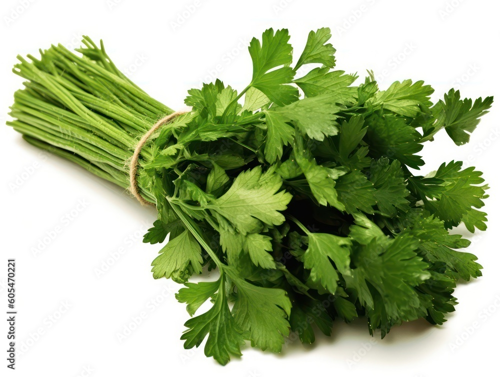 bunch of parsley isolated on white background. .Generative AI bunch of parsley isolated on white background. .Generative AI