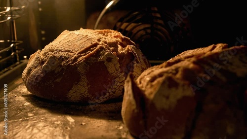 Homemade bread baking in oven. Organic fresh bread. Timelapse. Loaf is raised and baked. Baker bakes food at bakery. Food concept. Close-up in 4K, UHD