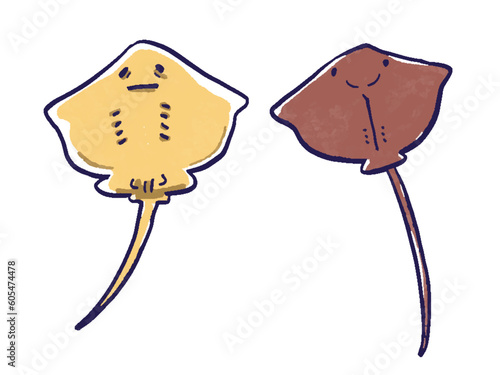 エイの表面と裏面の水彩風手描きイラスト