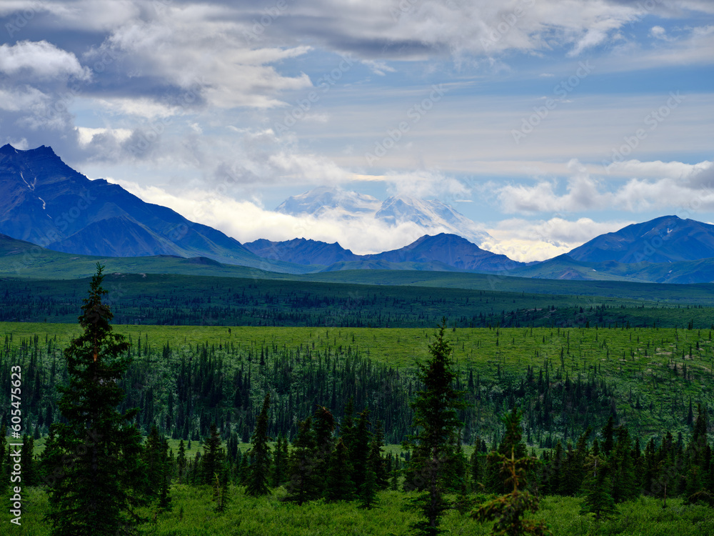 Cloud and snow cover Mount Denali stands above all the other mountains