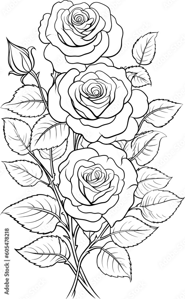 Roses Flower Line Art Roses Flower Line Art