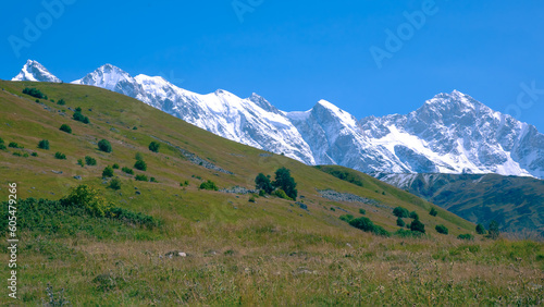 landscape of green grass and snowy mountains. Trekking and travel in Georgia