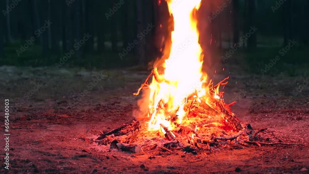 Evening Bonfire Burns in the Pine Forest in the Summer. Flaming Campfire, Place for Bonfire. Fire Pit Outdoors, Wood on Fire, Flying Sparks and Smoke. Travel and Tourism Concept - Slow Motion Evening Bonfire Burns in the Pine Forest in the Summer. Flaming Campfire, Place for Bonfire. Fire Pit Outdoors, Wood on Fire, Flying Sparks and Smoke. Travel and Tourism Concept - Slow Motion