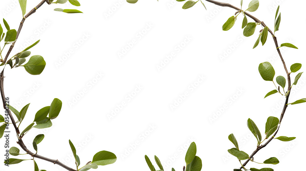 sprouting buds as a frame border, isolated with copyspace