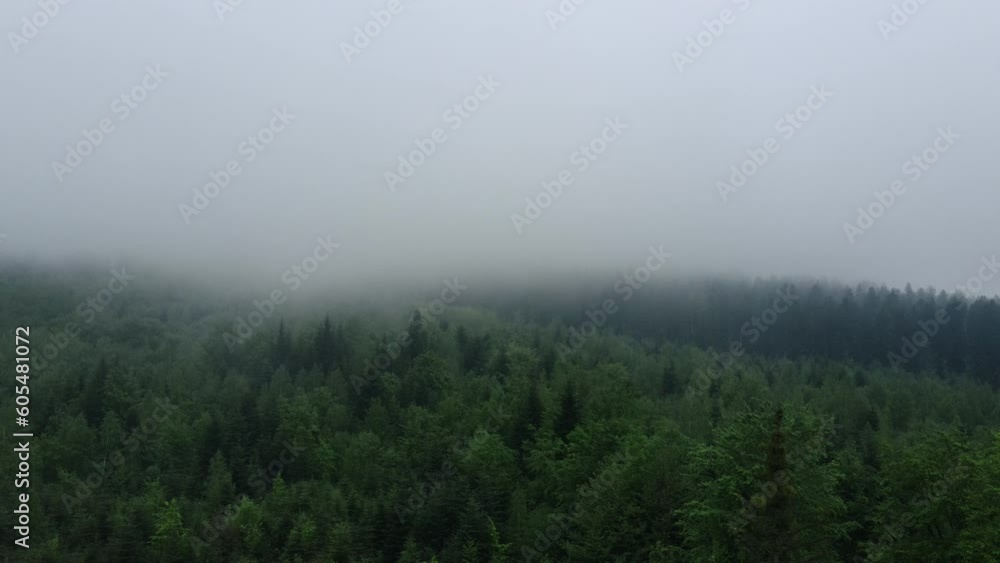 Aerial drone view three peaks stand out, pristine and untouched nature reserve. Nature concept. Flying through thick moody fog in green forest on dark mysterious morning at spring or summer day Aerial drone view three peaks stand out, pristine and untouched nature reserve. Nature concept. Flying through thick moody fog in green forest on dark mysterious morning at spring or summer day