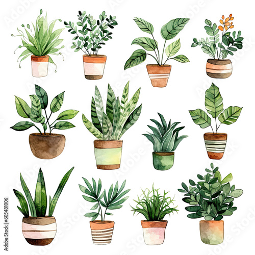 Cute Watercolor Cactus Succulents Clip Art on Isolated Background 