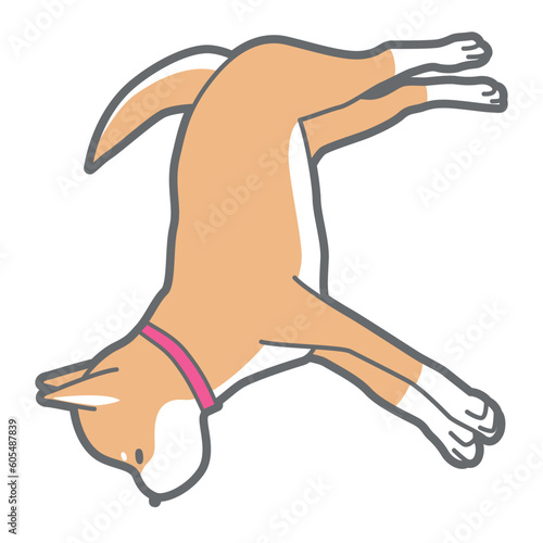 昼寝中の柴犬のベクターイラスト