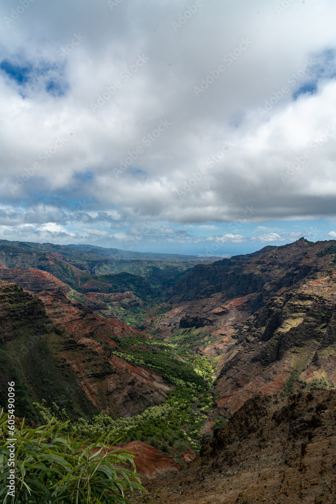 Beautiful view at the Waimea Canyon State Park in Hawaii