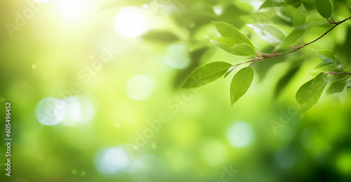 Nature of Green Leaves on beautiful Greenery bokeh background and copy space for text. Using as environment ecology cover page. Generative Ai