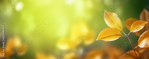 Nature of Leaves on beautiful Greenery bokeh background and copy space for text. Using as environment ecology cover page. Generative Ai